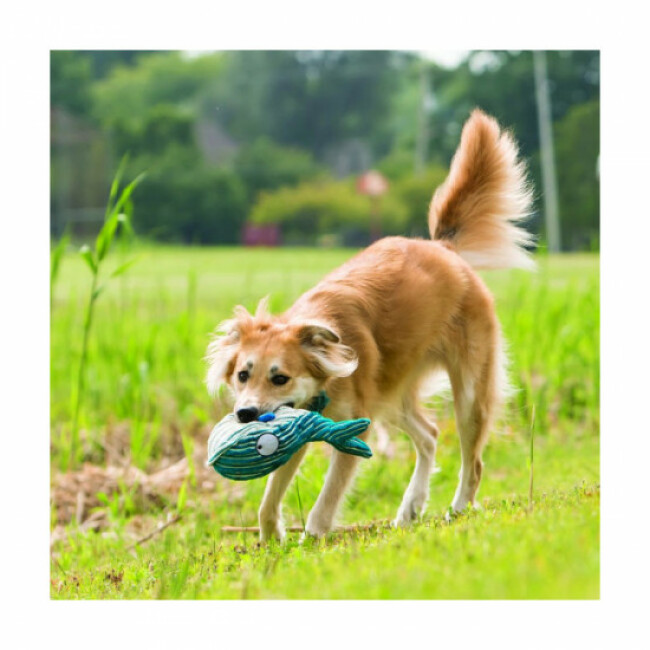 Jouet couineur en velours KONG Cuteseas pour chien