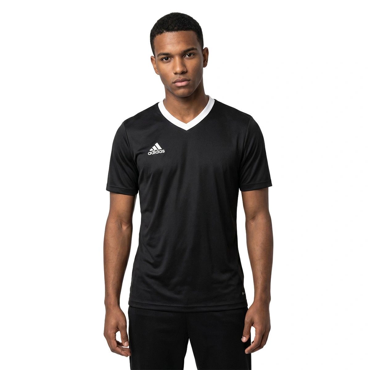 T-Shirt adidas Entrada 22 m/c