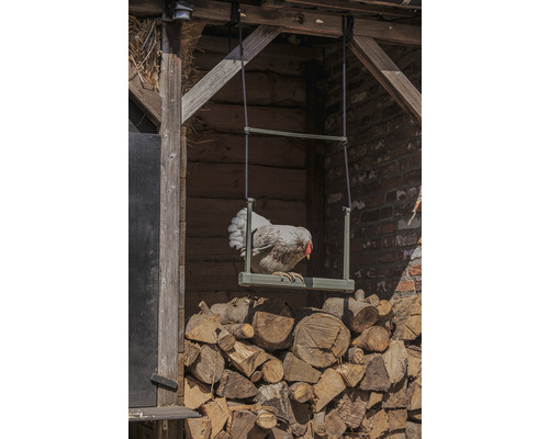 Kippenschommel, Beeztees, grijs, 40 x 5 x 30 cm, gerecycled plastic