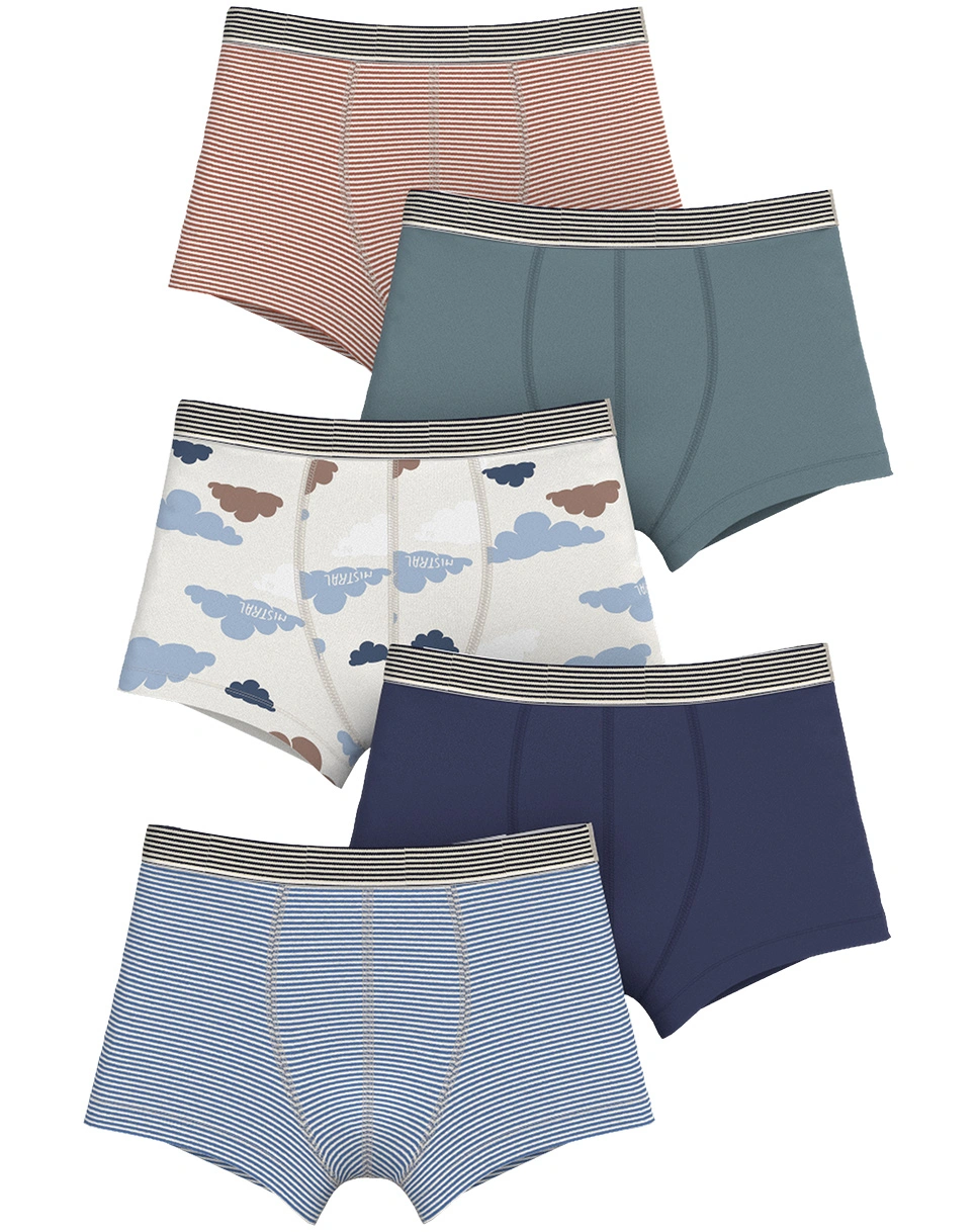Boxershorts NUAGE VIVI 5er-Pack in bunt