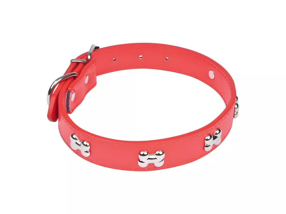 Collier Fantaisie pour Chien 