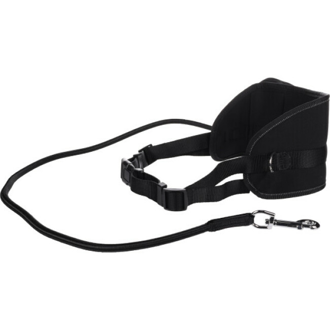 Laisse de jogging canicross pour chien