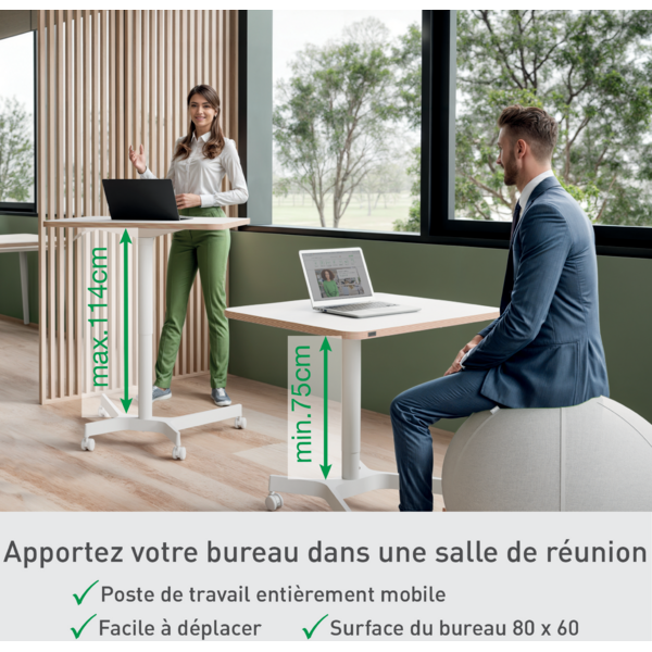 Bureau manuel compact - assis-debout - blanc - Leitz Ergo