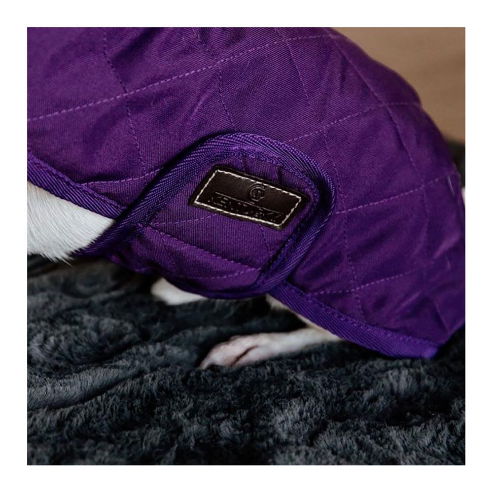 Kentucky ORIGINAL - Manteau pour chien royal purple