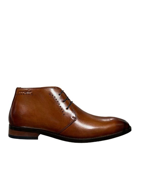 Van Lier 2459910 620 620 Cognac