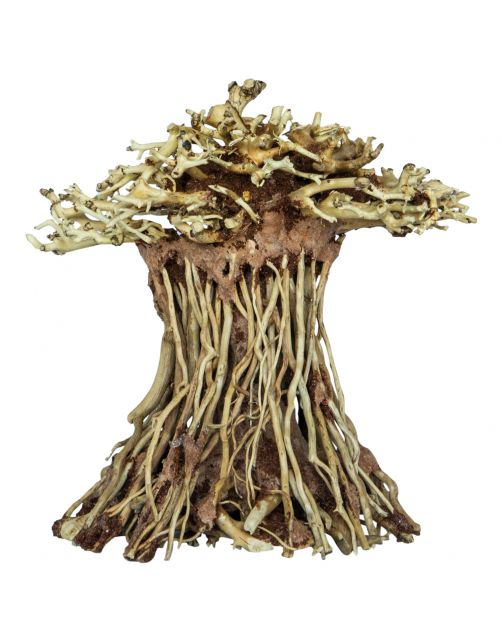 Superfish Bonsai Mushroom - Aquarium - Ornament - Small