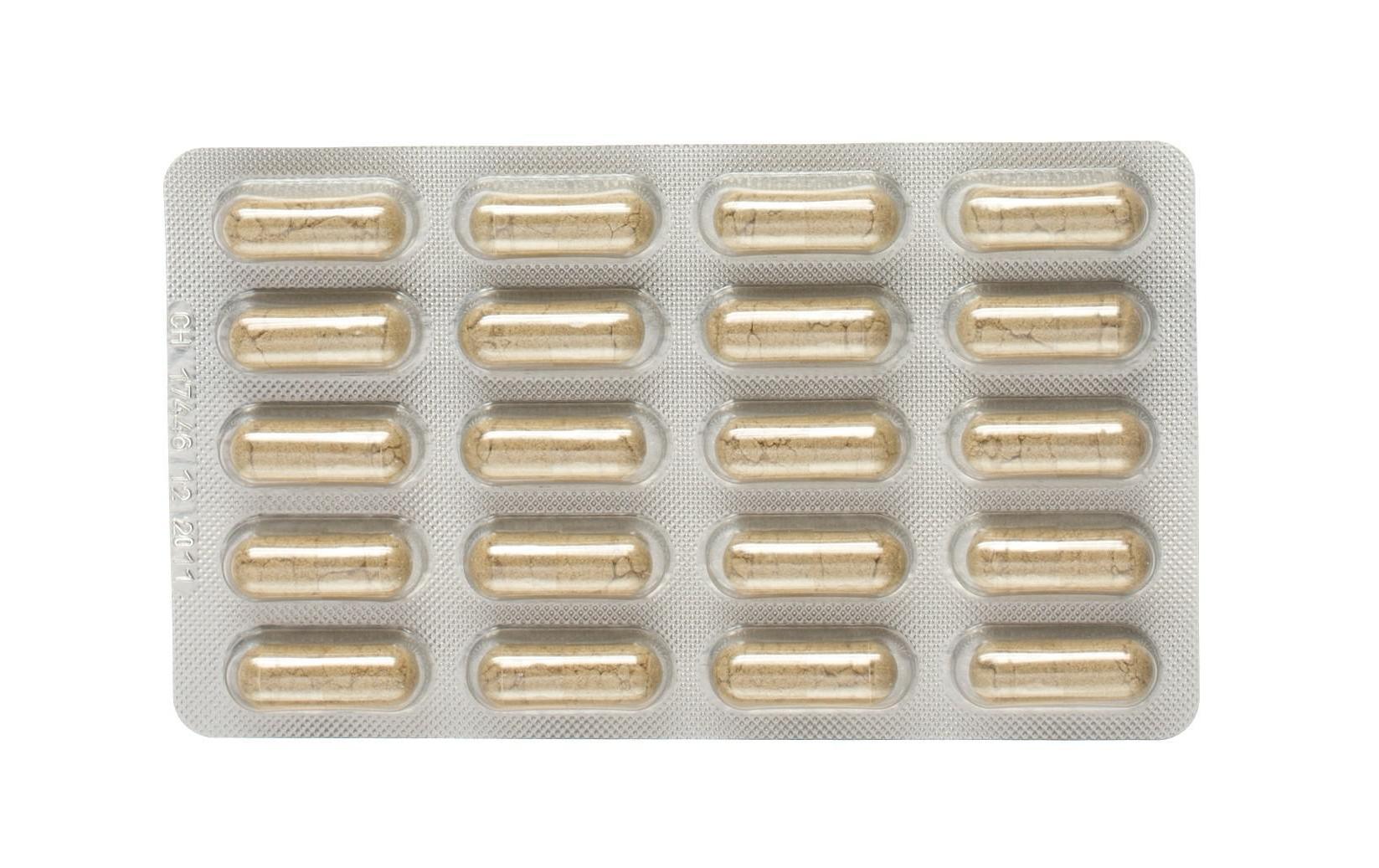 Grünlippmuschel Plus 120 KapselnKapseln mit Grünlippmuschelkonzentrat