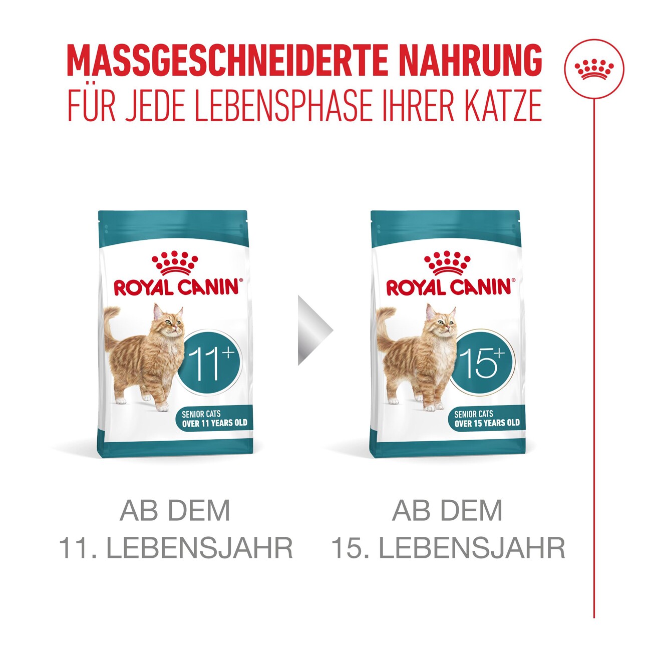 ROYAL CANIN Trockenfutter Katze, Senior, Ageing Sterilised 11+ 400 g