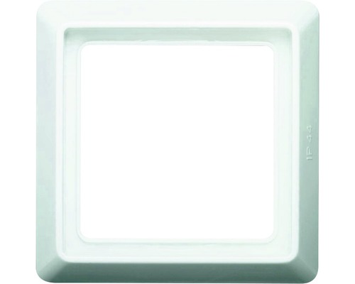 Busch-Jaeger 2101-34 Afdekraam enkelvoudig all-weather 44 alpinewit