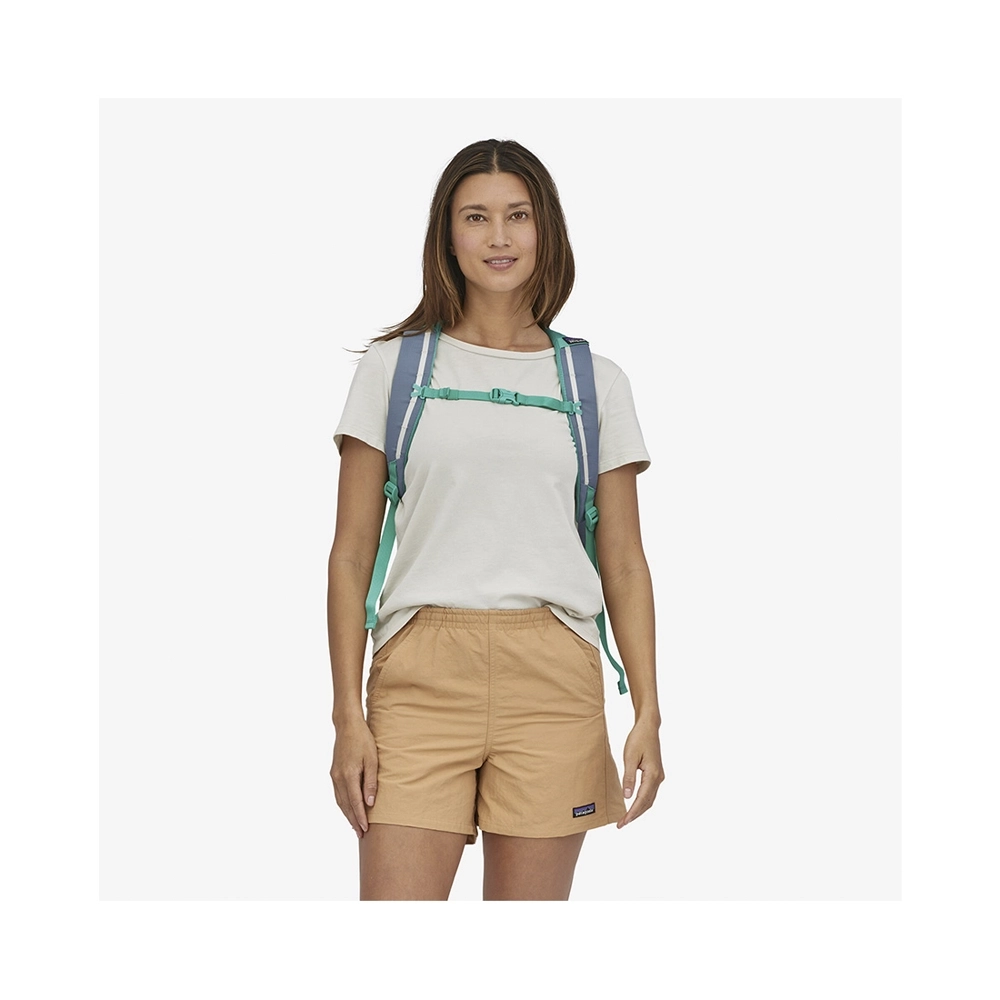 Patagonia Refugio Day Pack Rucksack