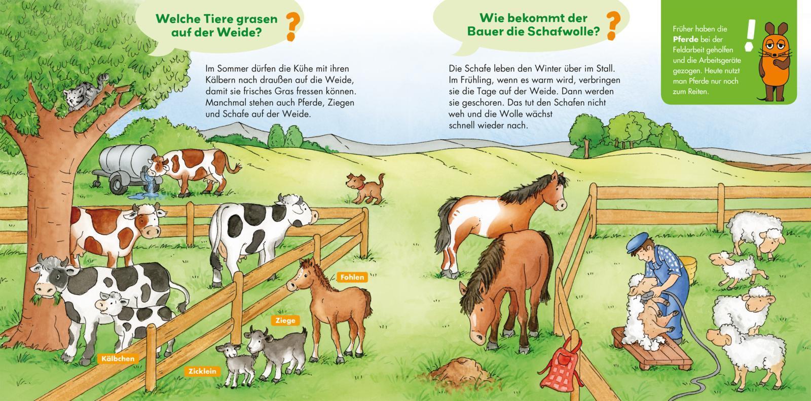 Bauernhof / Frag doch mal ... die Maus! Erstes Sachwissen Bd.2