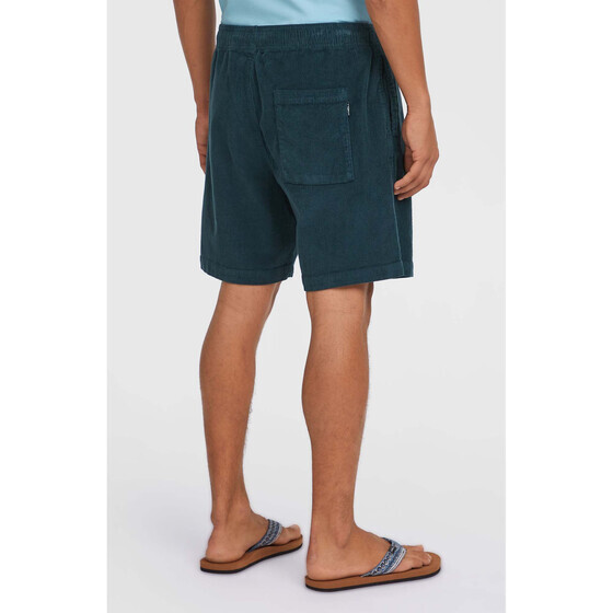 O'Neill Cord Shorts Alma Steel Herren SU25