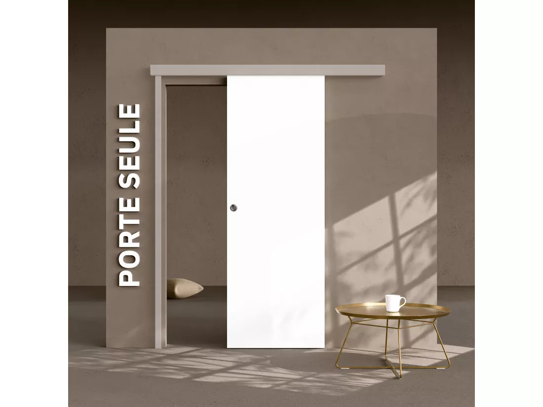 Porte Coulissante Seule - Prépeinte Plane 73 cm