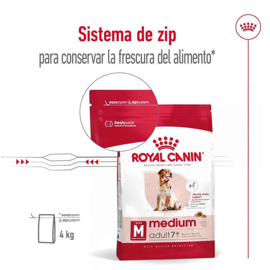 Ração Royal Canin Medium 7+ para cães adultos seniores