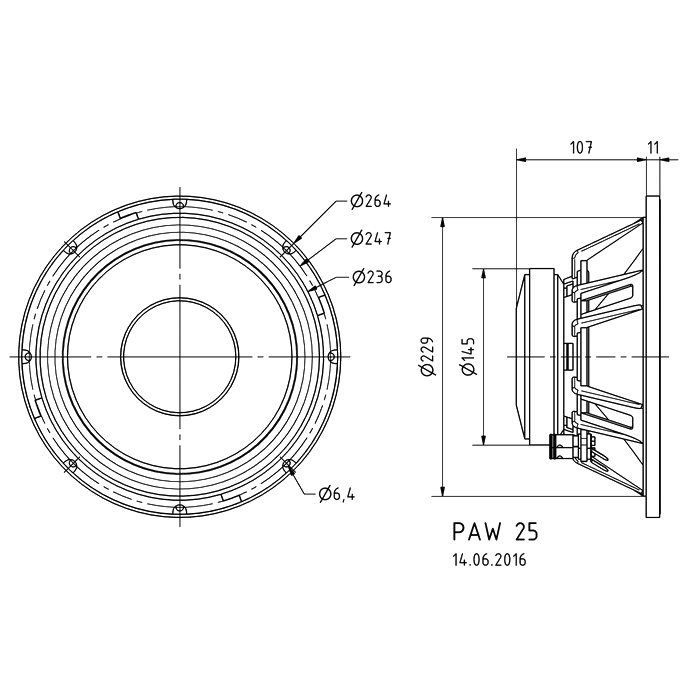 Visaton PAW 25 10 inch luidspreker, 8 Ohm