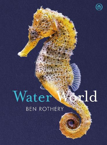 Water World (Hardback)