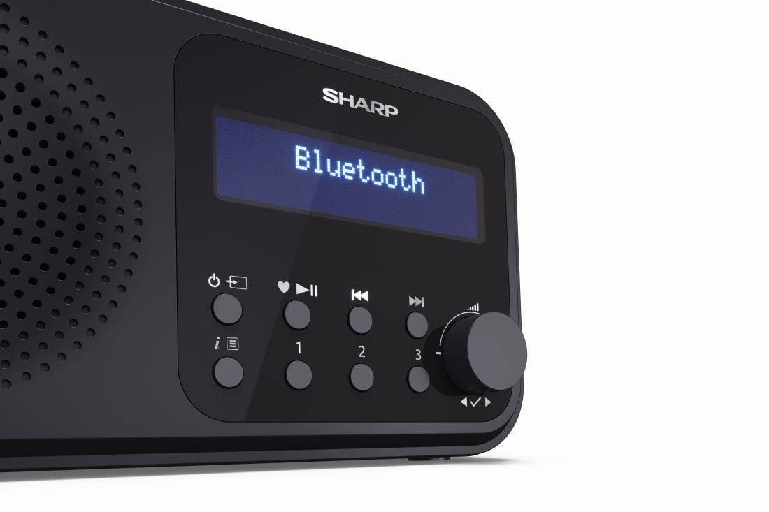 Sharp - Tokyo Portable Digital and FM Radio - Black Midnight