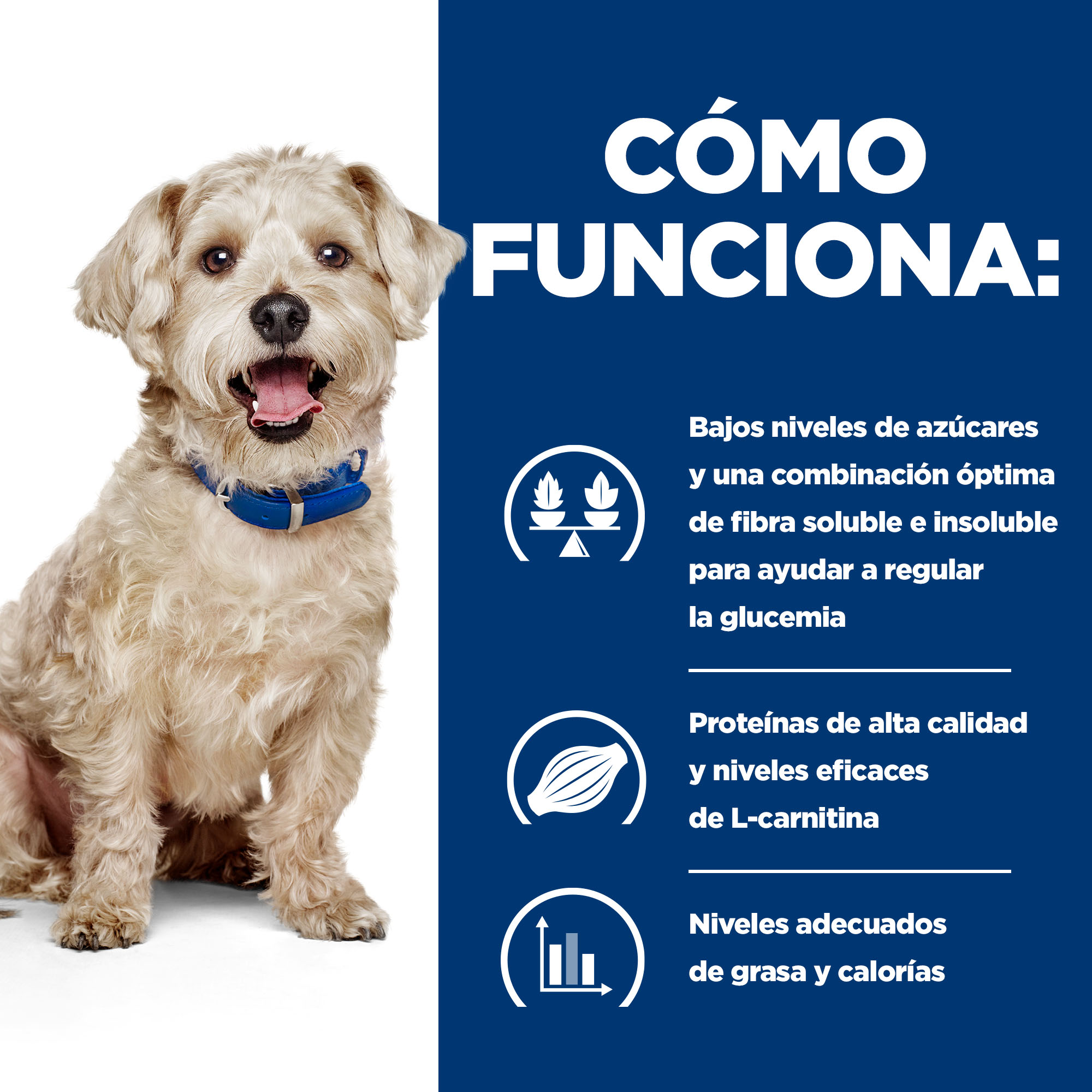 Ração para cães Hill's Prescription Diet Diabetes Care com frango