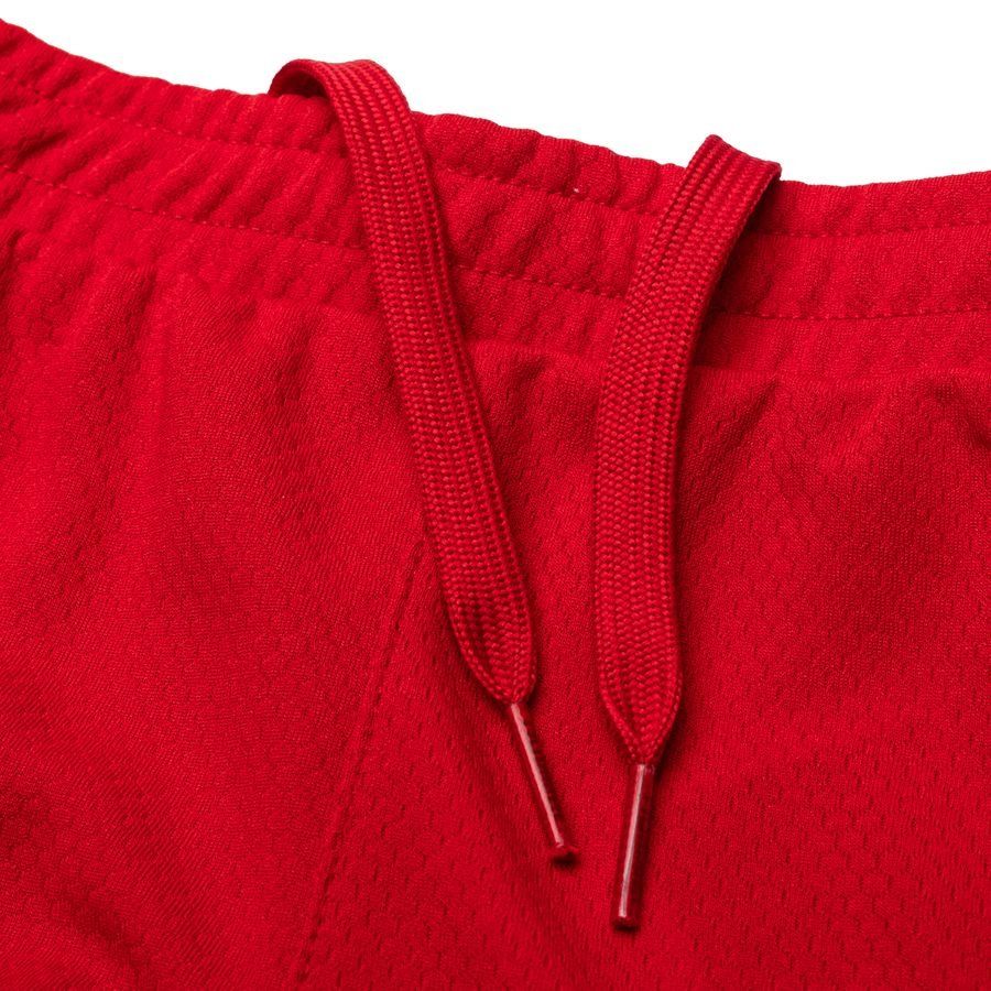 Danemark Maillot Domicile Coupe du Monde 2022 Mini-Kit Enfant