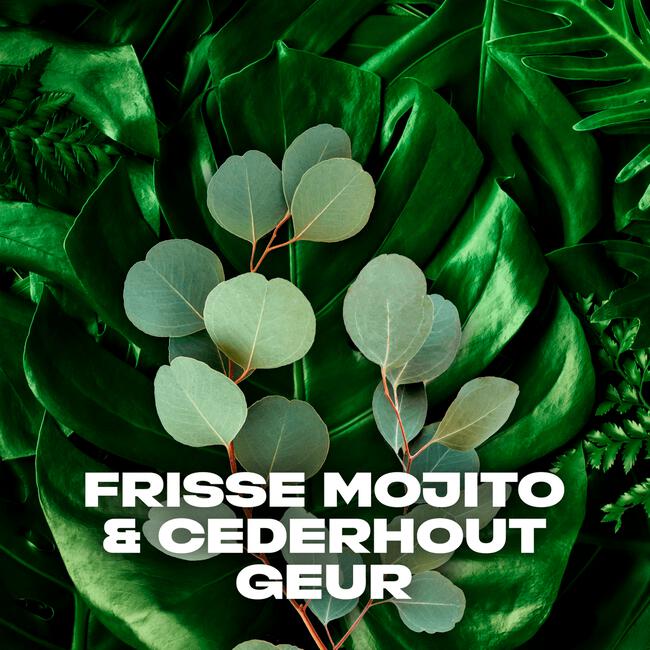 Axe Wild Green Mojito & Cedarwood 3-in-1 Douchegel 250 ML