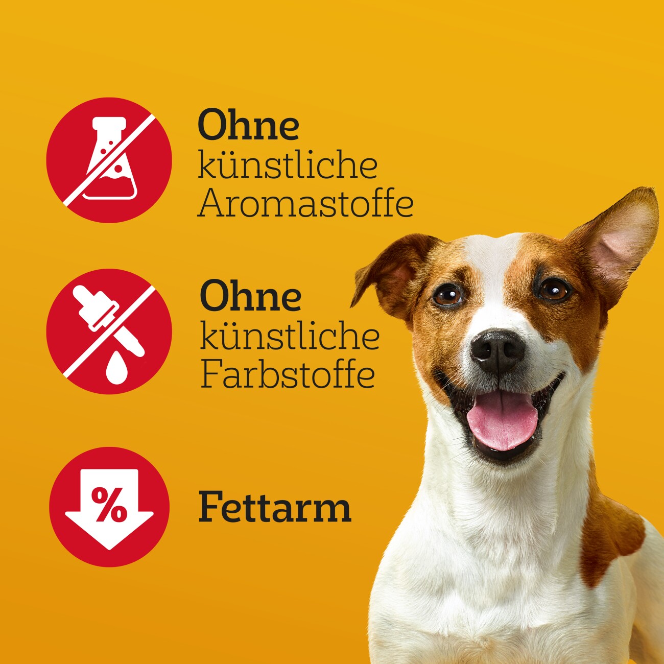 Pedigree Jumbone Riesenknochen Mini mit Rind und Geflügel 8x4 Stück