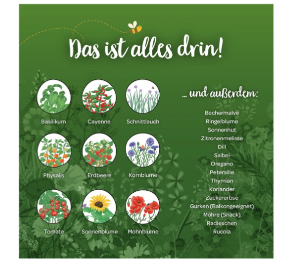 (15x8cm) Saatgut Winterlandschaft Adventskalender Samen Pflanzen Anzucht Tütchen (1004104)