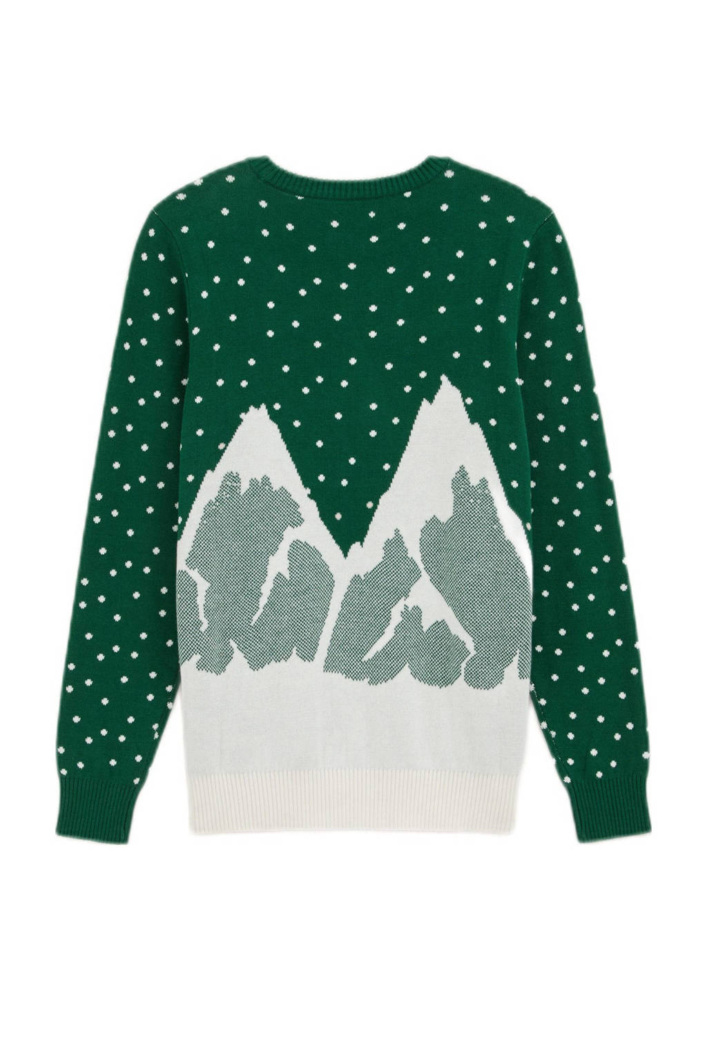 WE Fashion kersttrui donkergroen