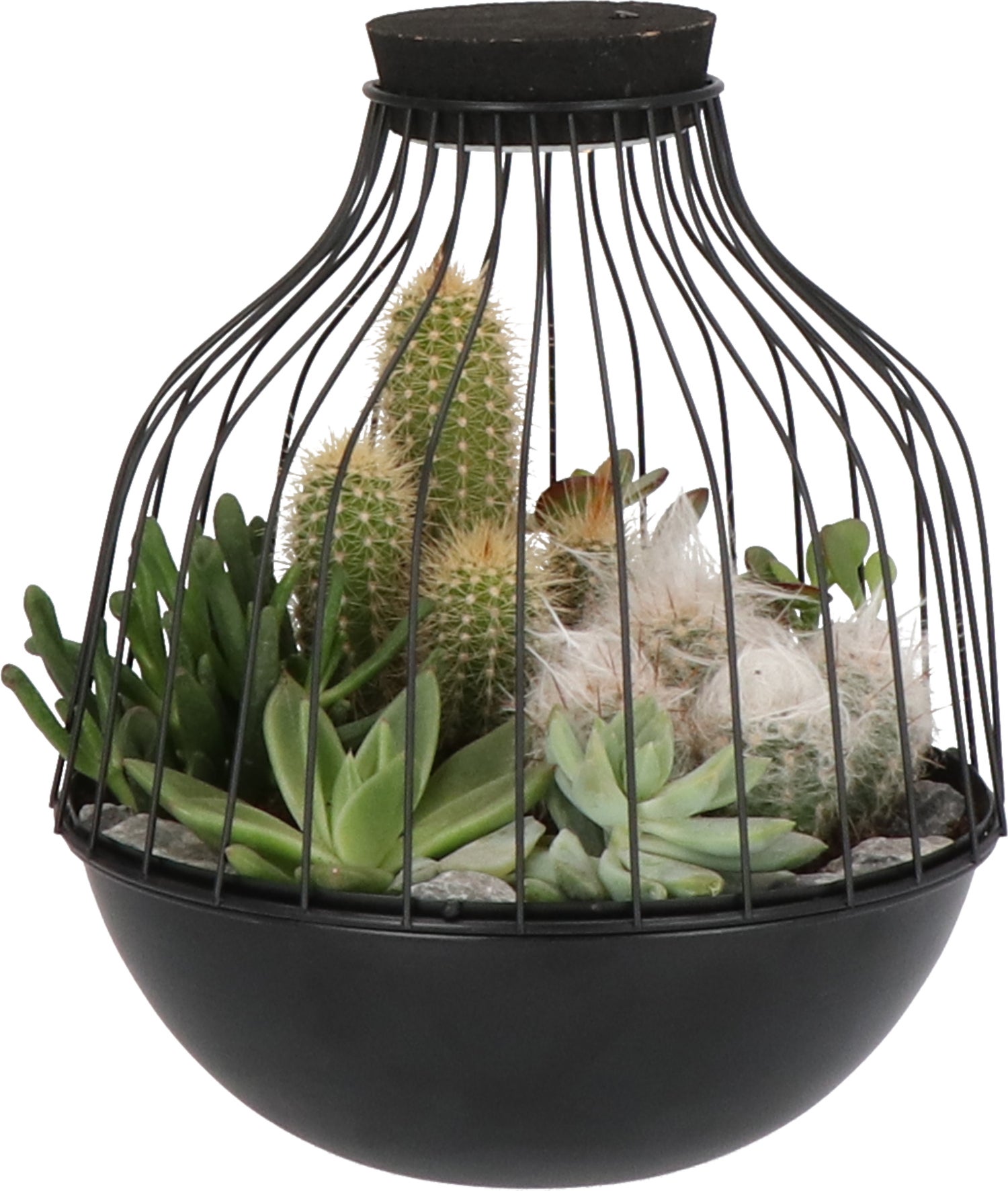 Intratuin Arrangement metalen kooi met lamp D 21 H 26 cm
