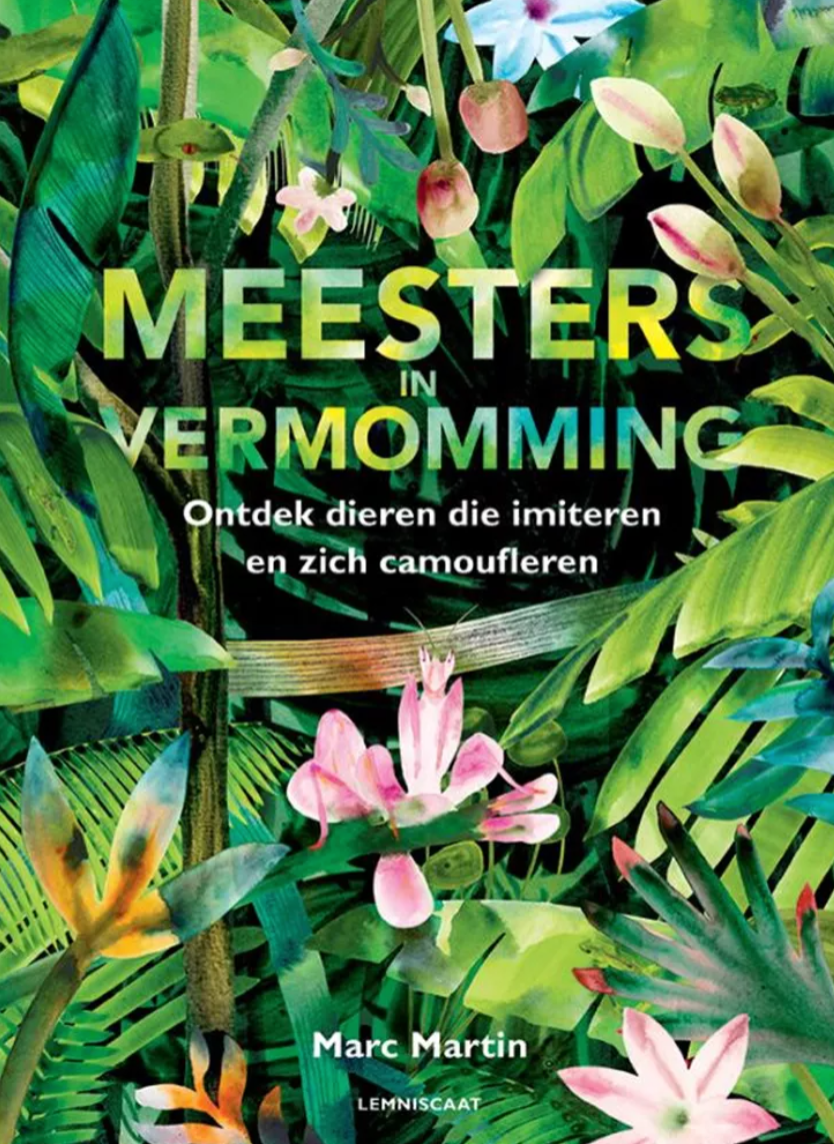 Meester in vermomming 7+