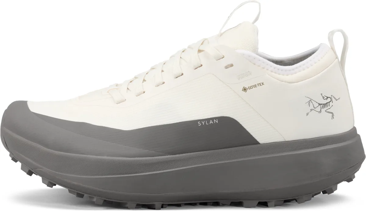 Arc'teryx Women's Sylan Gore-Tex Arctic Silk/Void