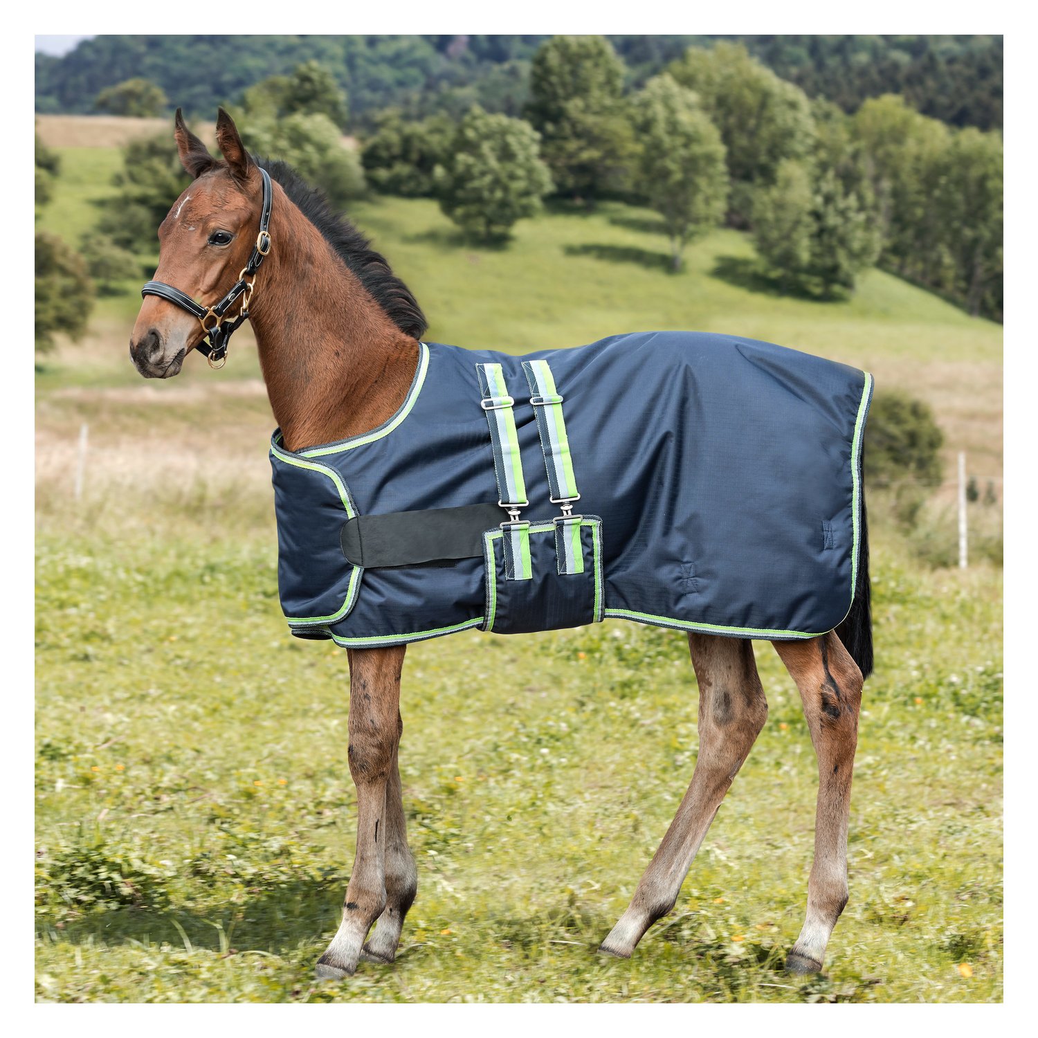 Horse-friends Fohlendecke - dark navy