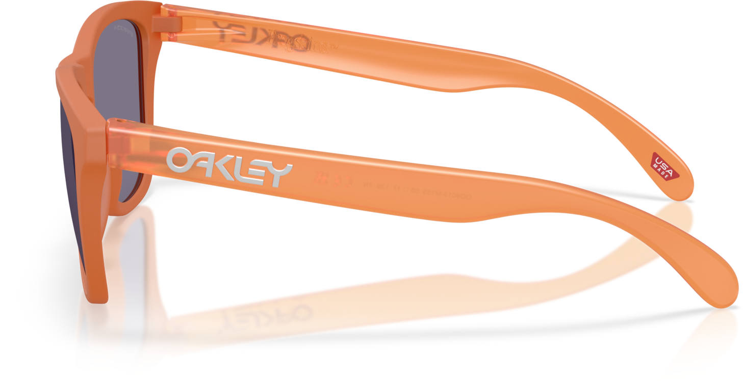 Oakley Frogskins