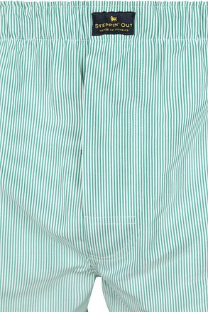 Steppin' Out Boxershort Streep Groen BOX-STEPP-10 kopen
