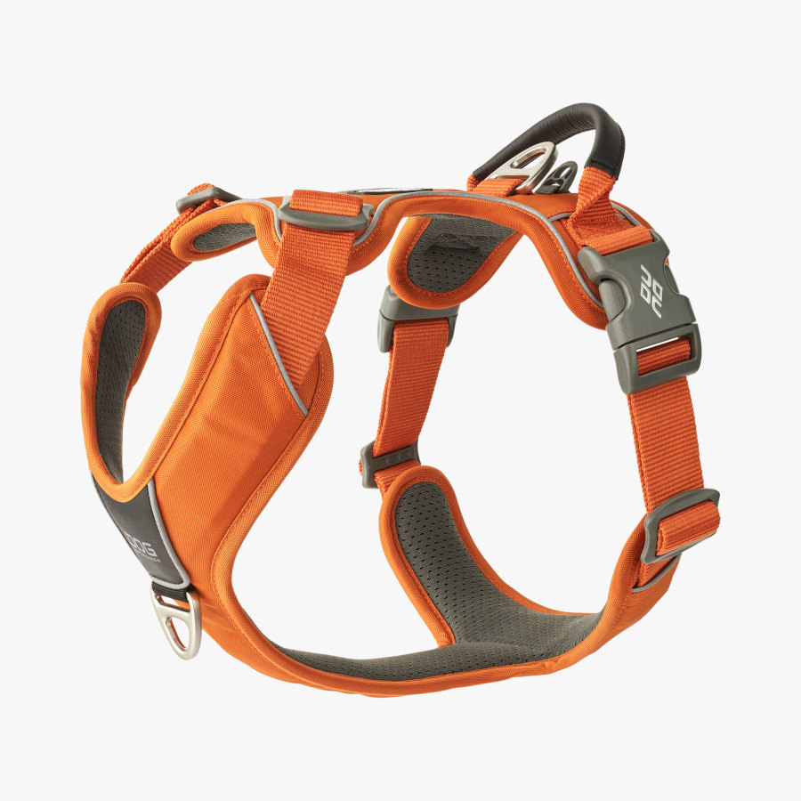 Coleira para cães Dog Copenhagen Comfort Walk Pro laranja