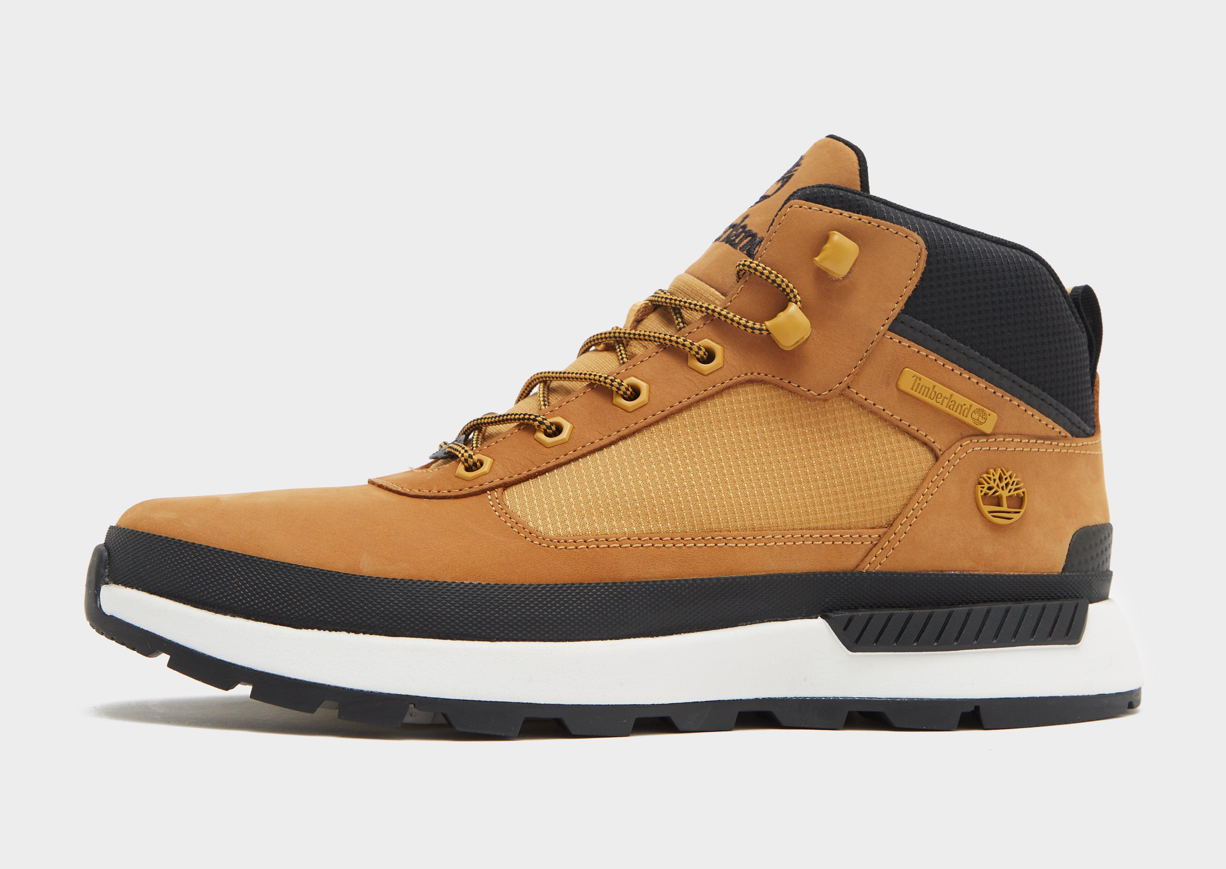 Timberland Field Trekker Homme