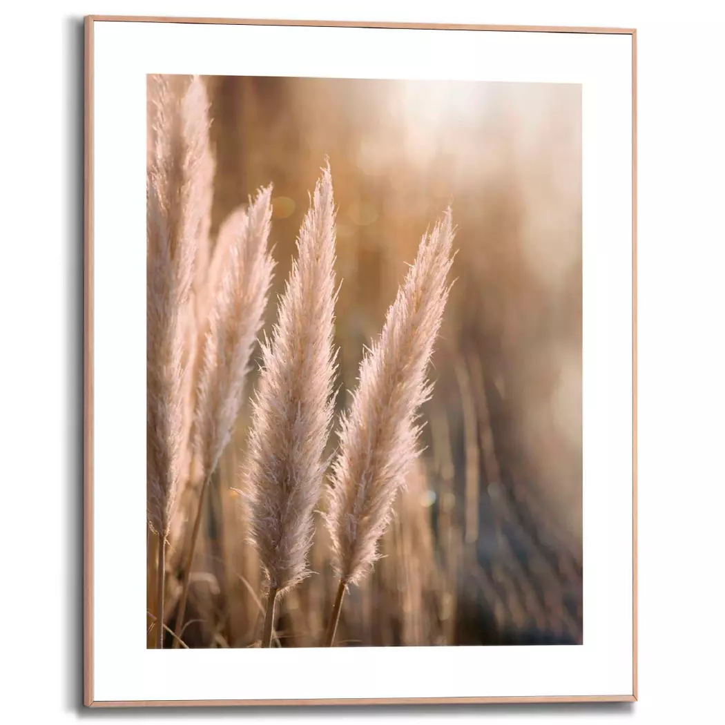 Wandbild 40 x 50 cm Pampas