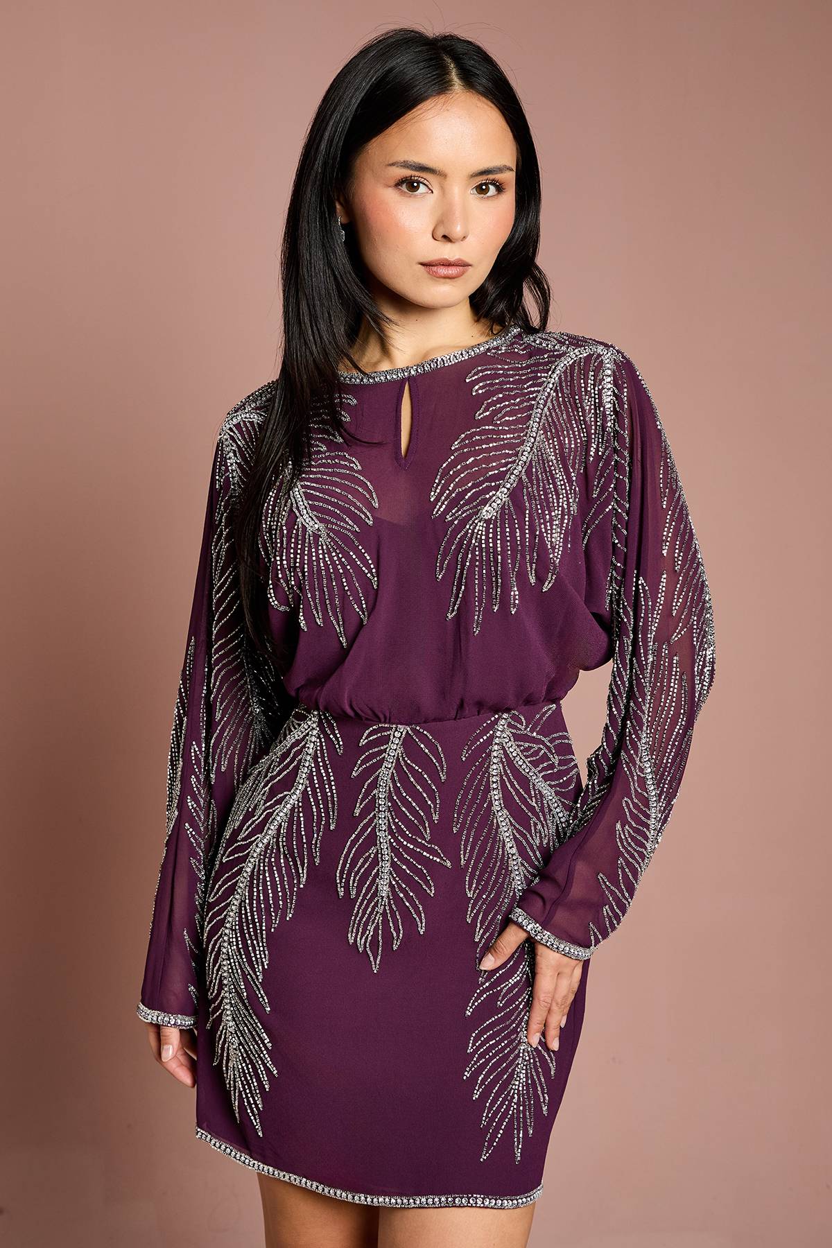 Coast Robe Mini Petite à Manches Longues Ornée de Plumes Placement