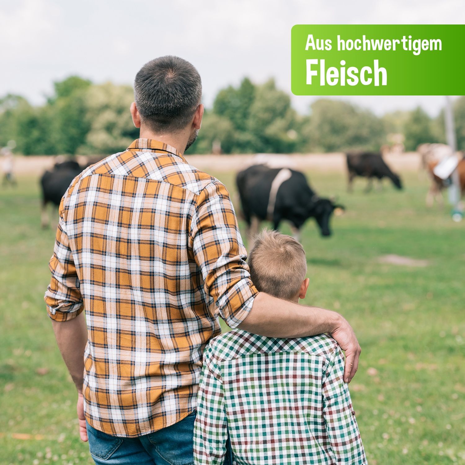 Schecker Nassfutter - 100% Rind PUR