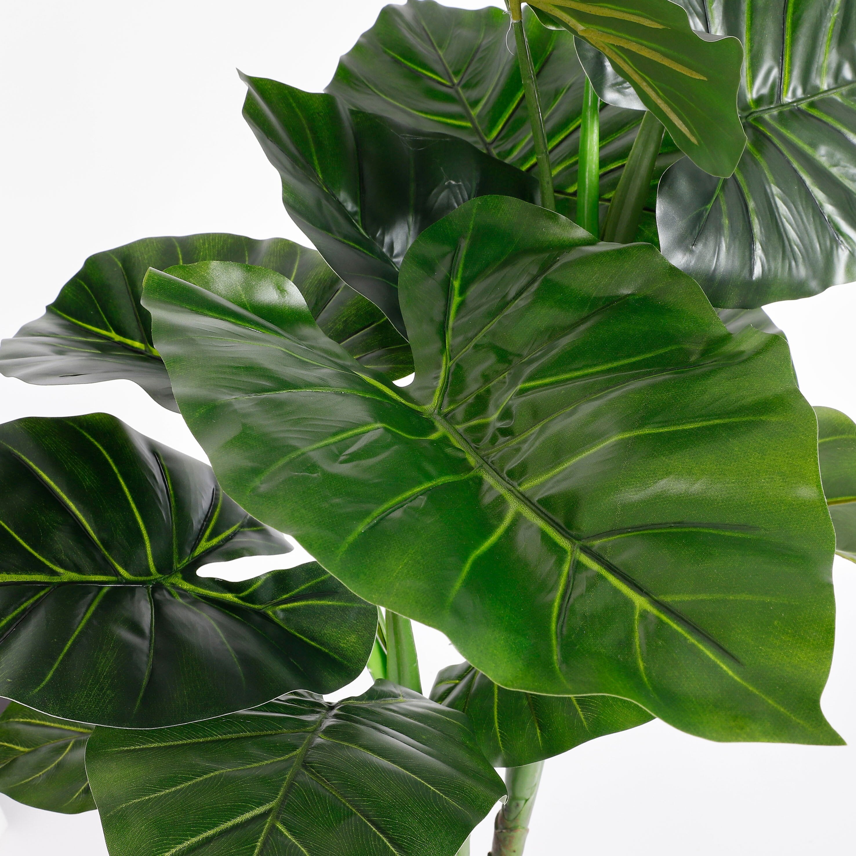 Mica Decorations Taro in pot groen - h100xd70cm