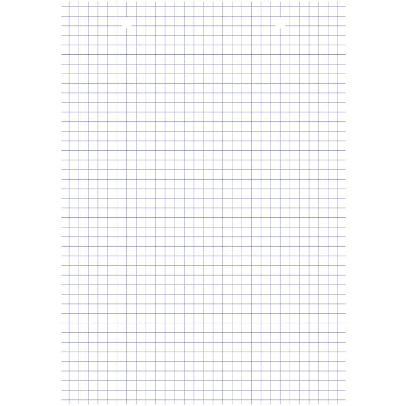 Fiche bristol collées 210 x 148 blanches 5 x 5 mm Oxford - Bloc de 30