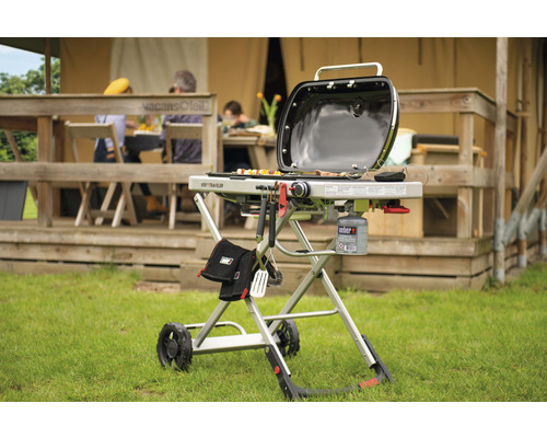 Weber Go-Anywhere gaspatroon 445 g