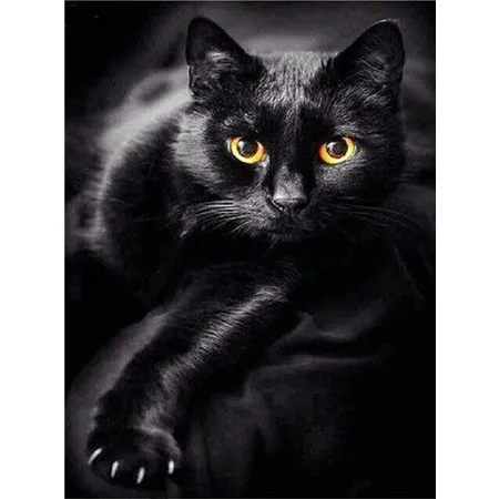 Pracht Diamond Painting Schwarze Katze (Design 25x35cm)