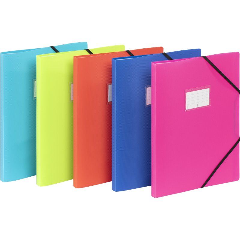 Protège-documents 60 pochettes - 120 vues  -  A4 - polypropylène - FEEL'EASY VIQUEL - Coloris assortis