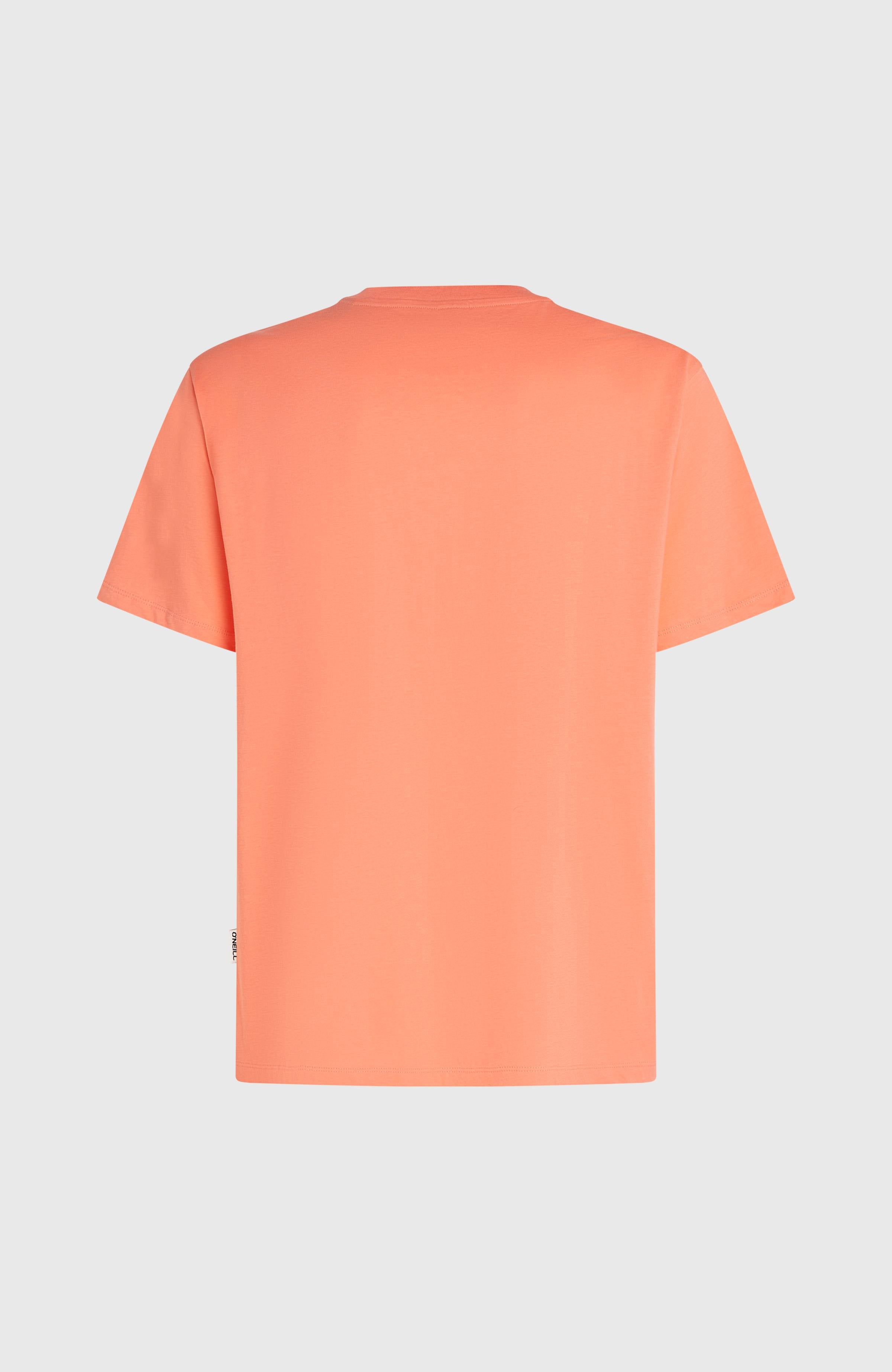 O'Neill Must-Have Graphic T-shirt