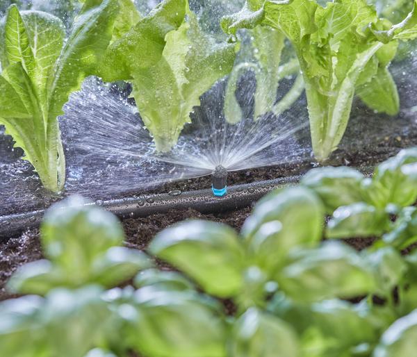 GARDENA Micro-Drip-System Sprühdüse 180