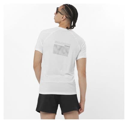 Maillot manches courtes Salomon Cross Run Graphic Blanc Homme