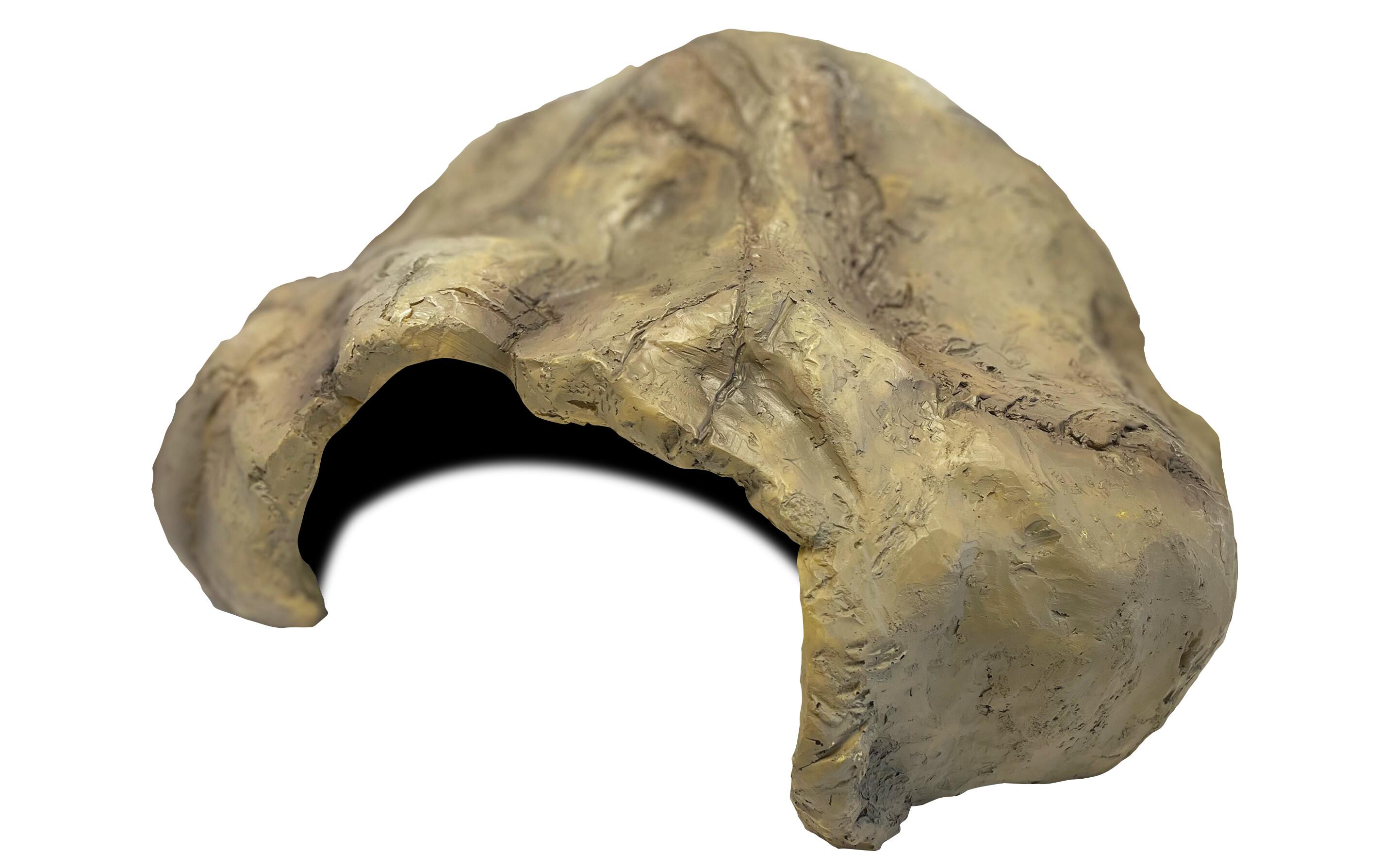 Deco Cave XL, 37 x 29 x 17 cmVersteck für Reptilien und Amphibien