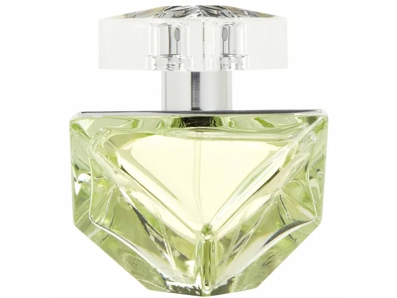 Britney Spears Believe Eau De Parfum 100 ml (woman)
