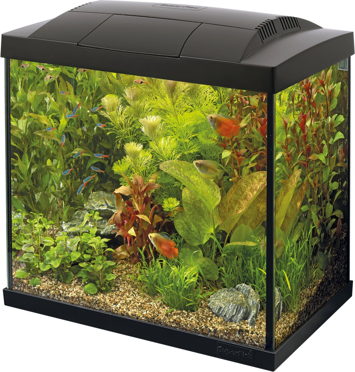 SuperFish aquarium Start 50 Tropical Kit zwart 45 L