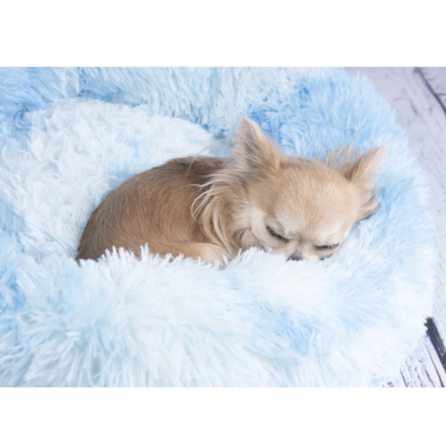 Cama Flamingo Demi Redonda Azul para cães e gatos